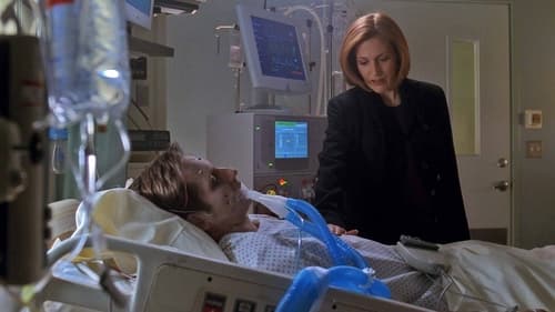 movies/2024-09-06/the-x-files-1dJD0ALHJ3VmFq7MzlZ7axmuX11.jpg