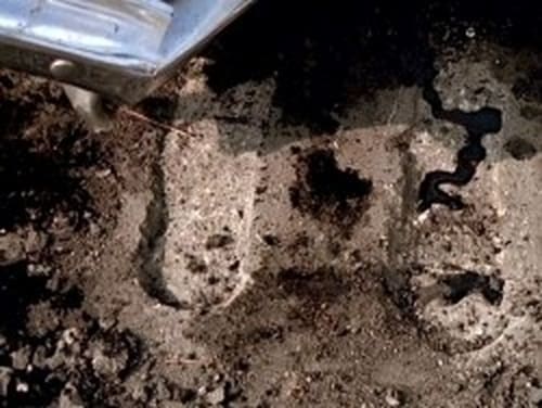 movies/2024-09-06/the-x-files-2TB7C37hakEd3FOSenTgHygGJWM.jpg