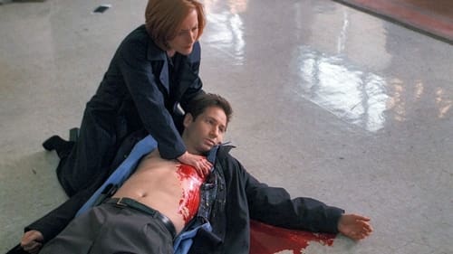 movies/2024-09-06/the-x-files-2x37TkZkDRRgBIHCXoHInBNLeaI.jpg