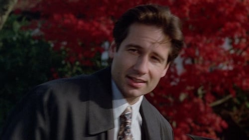 movies/2024-09-06/the-x-files-3bYEzMVOjNT64Sf4sjpWzbHjteO.jpg