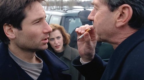 movies/2024-09-06/the-x-files-3oOIOLjluquajpo8lU2CuGwckwW.jpg