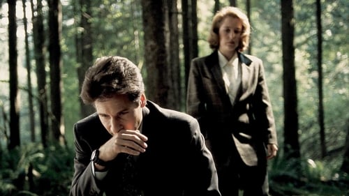 movies/2024-09-06/the-x-files-3yHb7M1qW5WXyLIO7WGhV5c2dlb.jpg