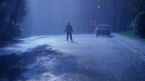 movies/2024-09-06/the-x-files-42TUc9tHLxdEpswrN02UIyKjJST.jpg