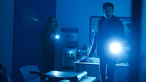 movies/2024-09-06/the-x-files-4INK2clBJhlry3y02uEXGJyxjff.jpg
