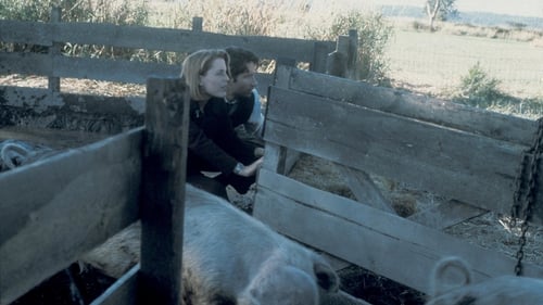 movies/2024-09-06/the-x-files-52fIVUtjerfCAlz6lxpvil7n6f1.jpg