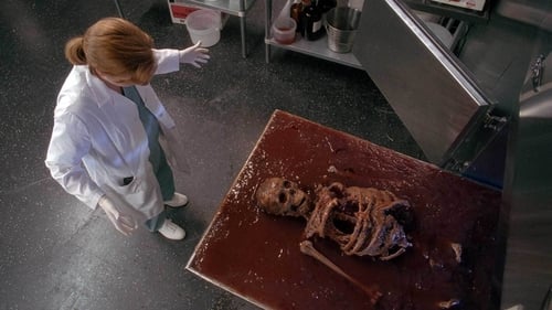 movies/2024-09-06/the-x-files-5ieI2fCYtD7Bo7po9IWn2iG3wBL.jpg