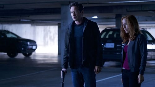 movies/2024-09-06/the-x-files-5kRAvpQ2Tf4Epsk5F3Z7ymk3K3X.jpg