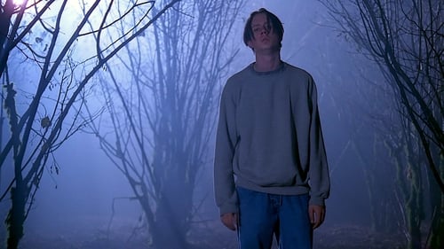 movies/2024-09-06/the-x-files-6MzI1UtXx07aDyUXep24AbeRebG.jpg