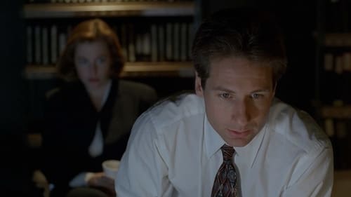movies/2024-09-06/the-x-files-6ZyRM2WOmWQLKc5JproXbXStN7F.jpg