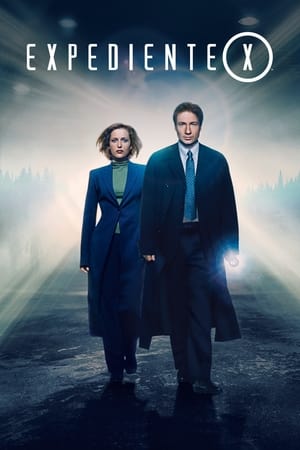 Los Expedientes Secretos X - The X-Files (1993)