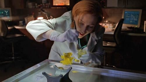 movies/2024-09-06/the-x-files-7dmCCoSTDqtT4wCfAZsxcJNF04L.jpg