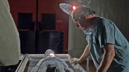 movies/2024-09-06/the-x-files-7owMKZEZo8ULquOnJ4wqAlcZKEP.jpg
