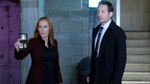 movies/2024-09-06/the-x-files-7wI9qyVhig8TU0XsGizIofySbBL.jpg