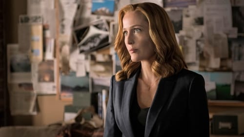 movies/2024-09-06/the-x-files-8PecGquBank899xuSdLYX2gIUDJ.jpg