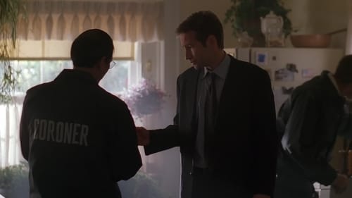 movies/2024-09-06/the-x-files-9GyH2aYXOsRq97K4bk4enC347j4.jpg