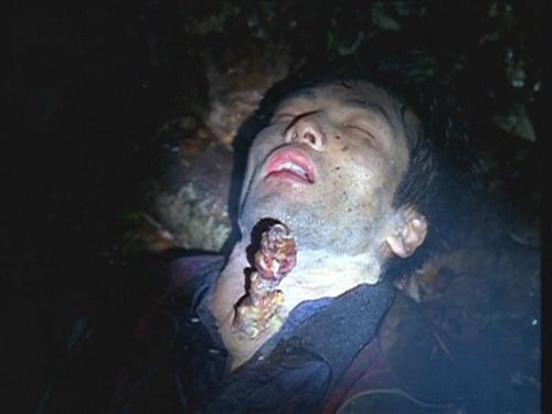 movies/2024-09-06/the-x-files-A8baaMrWSk3cZUgwE4av16gCQaG.jpg