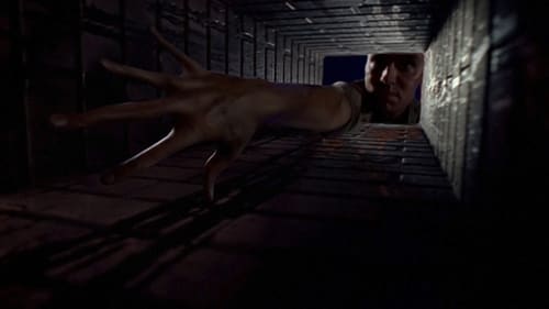 movies/2024-09-06/the-x-files-a3ikpRM8KtqnFuY8rspxpYNLgSa.jpg