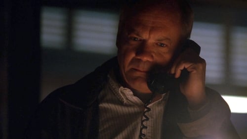 movies/2024-09-06/the-x-files-bGr4WZntaewXaYJUZz11qX3Vqxx.jpg