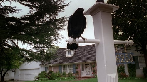 movies/2024-09-06/the-x-files-bKW39w9GF4NniwDJn5FxGUvpAG.jpg