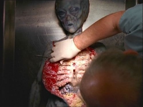 movies/2024-09-06/the-x-files-bohd6ARsnntLlxDZwIvGNNBgMjt.jpg