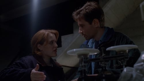 movies/2024-09-06/the-x-files-dt7jzRxrbdz63J9h5tlvz70llMx.jpg