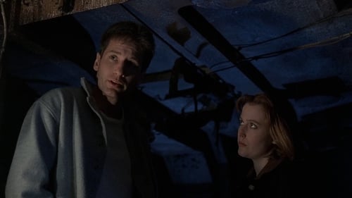 movies/2024-09-06/the-x-files-fZovVBipWWRQ0GSuZpPAl4lUYi5.jpg