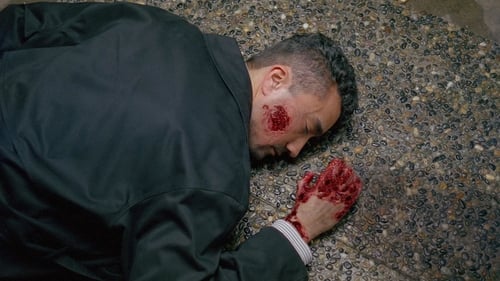 movies/2024-09-06/the-x-files-hK5JsZhLuMpMAKQtYJbW6JTbid0.jpg