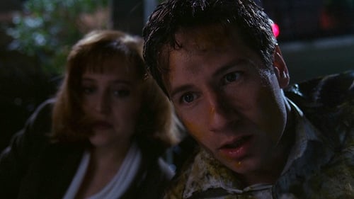 movies/2024-09-06/the-x-files-ilJygZjGBZr0EvYUNbShwAsST5Q.jpg