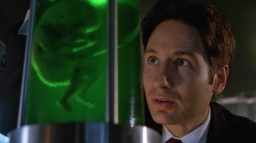 movies/2024-09-06/the-x-files-j3aUeu3E04Ym3b2BCuVYI4mJ0IW.jpg