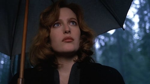 movies/2024-09-06/the-x-files-j3gEdM8qSN6XDZvEsmAt9TJxbG0.jpg