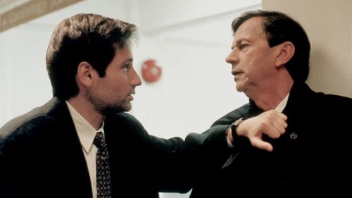 movies/2024-09-06/the-x-files-jXHJkAqGxIXkeObFiK3X4seBT2t.jpg