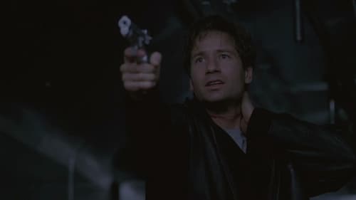movies/2024-09-06/the-x-files-jcQYdPpntDg7YxFwIMVbIzb7ASV.jpg