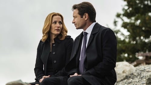movies/2024-09-06/the-x-files-jxtDAgBNDx6I1x16I6RPKjtbOFJ.jpg
