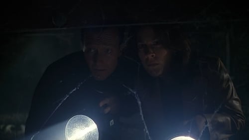 movies/2024-09-06/the-x-files-kFoiaUlMVVkdT3pSgoZ08dTPkG8.jpg