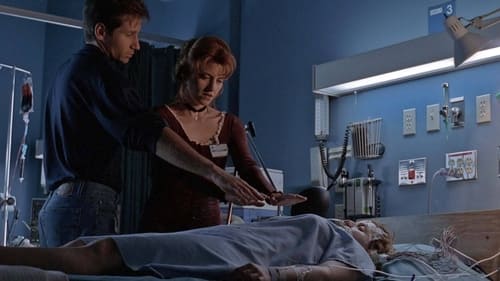 movies/2024-09-06/the-x-files-kGCVii6nzv7I6enWOntI4GV1KK9.jpg