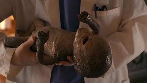 movies/2024-09-06/the-x-files-kKlWS4FhMWxzvGHgDEMJclQlUqM.jpg