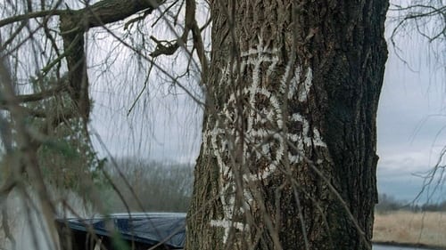 movies/2024-09-06/the-x-files-krVqdJ02Nvl0mDp3Dt8gLkCUdTi.jpg