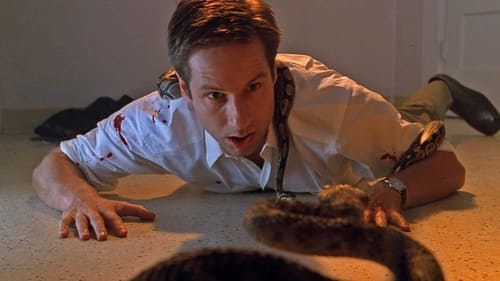 movies/2024-09-06/the-x-files-lCaWr3ogKiVKOsAU3XodFwdu55L.jpg
