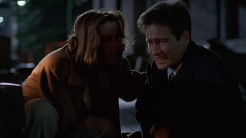 movies/2024-09-06/the-x-files-oGi1tEiWYu5djZ9wnVMzApmglxQ.jpg