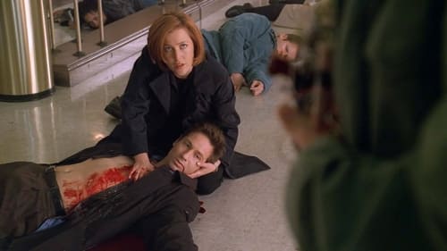 movies/2024-09-06/the-x-files-pZm702KVAKMEEtr3ycwtVKs2sNF.jpg