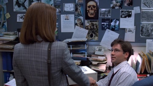 movies/2024-09-06/the-x-files-puRJHce1lYqE2GJLn1XBTHszHbF.jpg