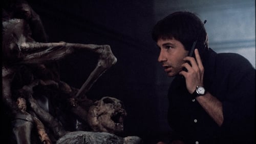 movies/2024-09-06/the-x-files-q8Z4f7ssRDoqPEdaaokMOlhH6hv.jpg