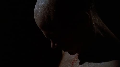 movies/2024-09-06/the-x-files-qBQZOPwMc2p69lVMsuevD9arpP7.jpg