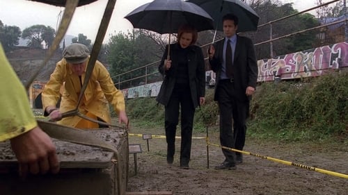 movies/2024-09-06/the-x-files-qI9wshV7OiZ0w6f2qCjnQW7kUSC.jpg