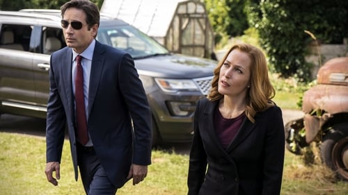 movies/2024-09-06/the-x-files-qNJ6j1Ly1WIOAZC5cc7S6O1OL2E.jpg