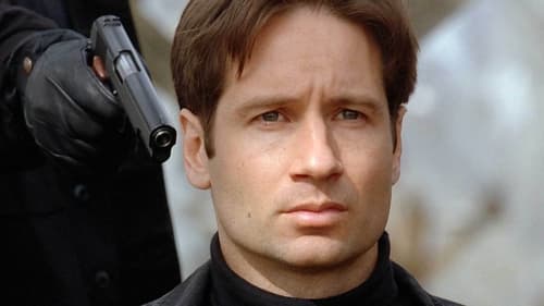 movies/2024-09-06/the-x-files-rB2wnoV5LvTgHaZoW1KfzjZeZto.jpg
