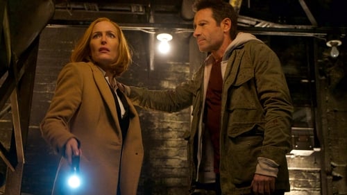 movies/2024-09-06/the-x-files-rZyFXwJ1zGKCGgxk2aRCPR9y6Ww.jpg