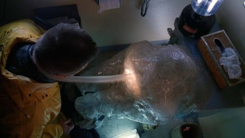 movies/2024-09-06/the-x-files-rvyrHN2Ji21qd0NtBstOWLIQUIR.jpg