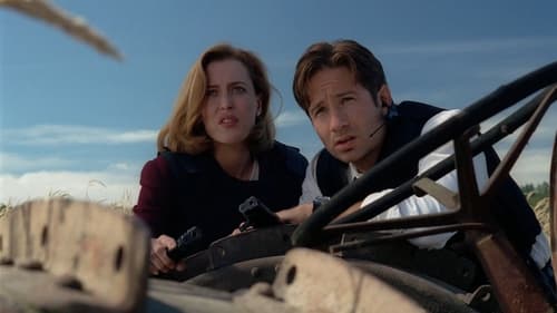 movies/2024-09-06/the-x-files-sgWFyjJIfnYPLbCBjtCaQLu28hu.jpg