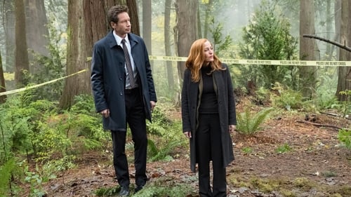 movies/2024-09-06/the-x-files-tE92mpQx03xEALxKXkG0Dy7Yvn6.jpg
